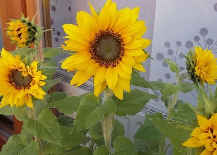 Modern Retreat By The Feriehus