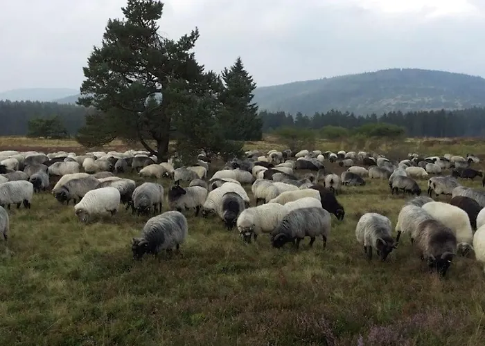 Modern Retreat By The Feriehus *